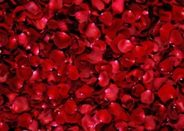 cvijeće za valentinovo